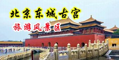 欧州妇女操BB影片中国北京-东城古宫旅游风景区